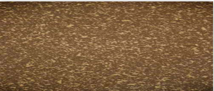 Decorative Paints